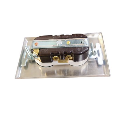 Eagle 2 Gang T-Slot Outlet with Ground and Metal Plate Cover 877-IC CAT132SSP