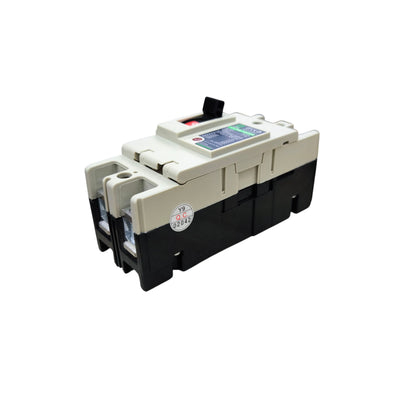 Koten 100A 2Pole Industrial Circuit Breaker MCCB 25KAIC 220V PW-100SPS100A2P