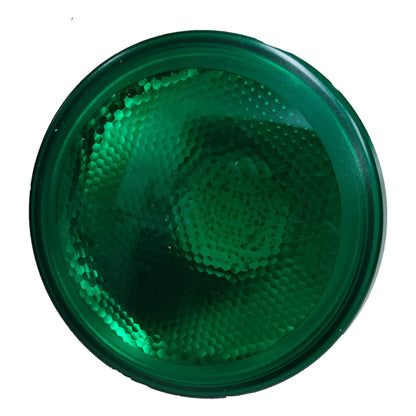 Green circular object with textured surface on a white background