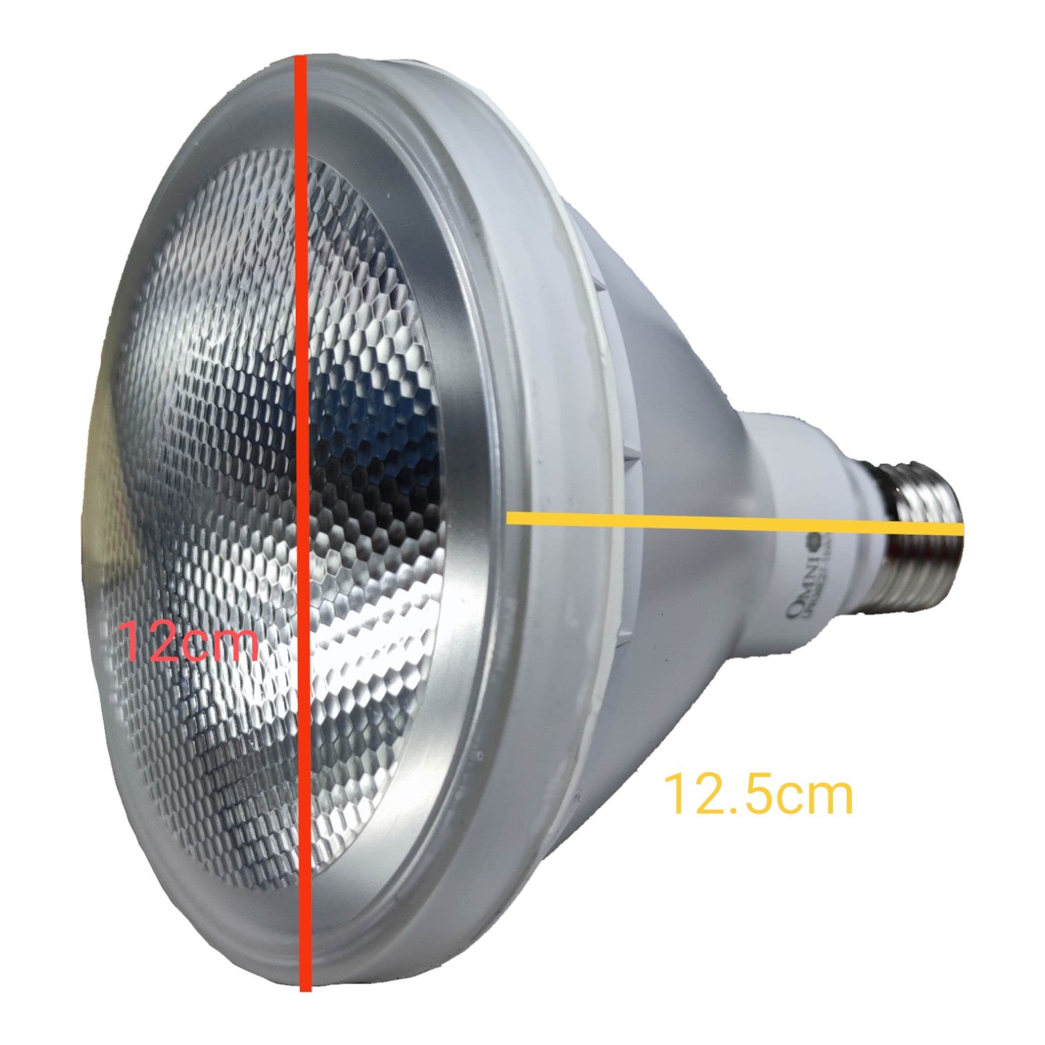 Light bulb with measurements on a white background