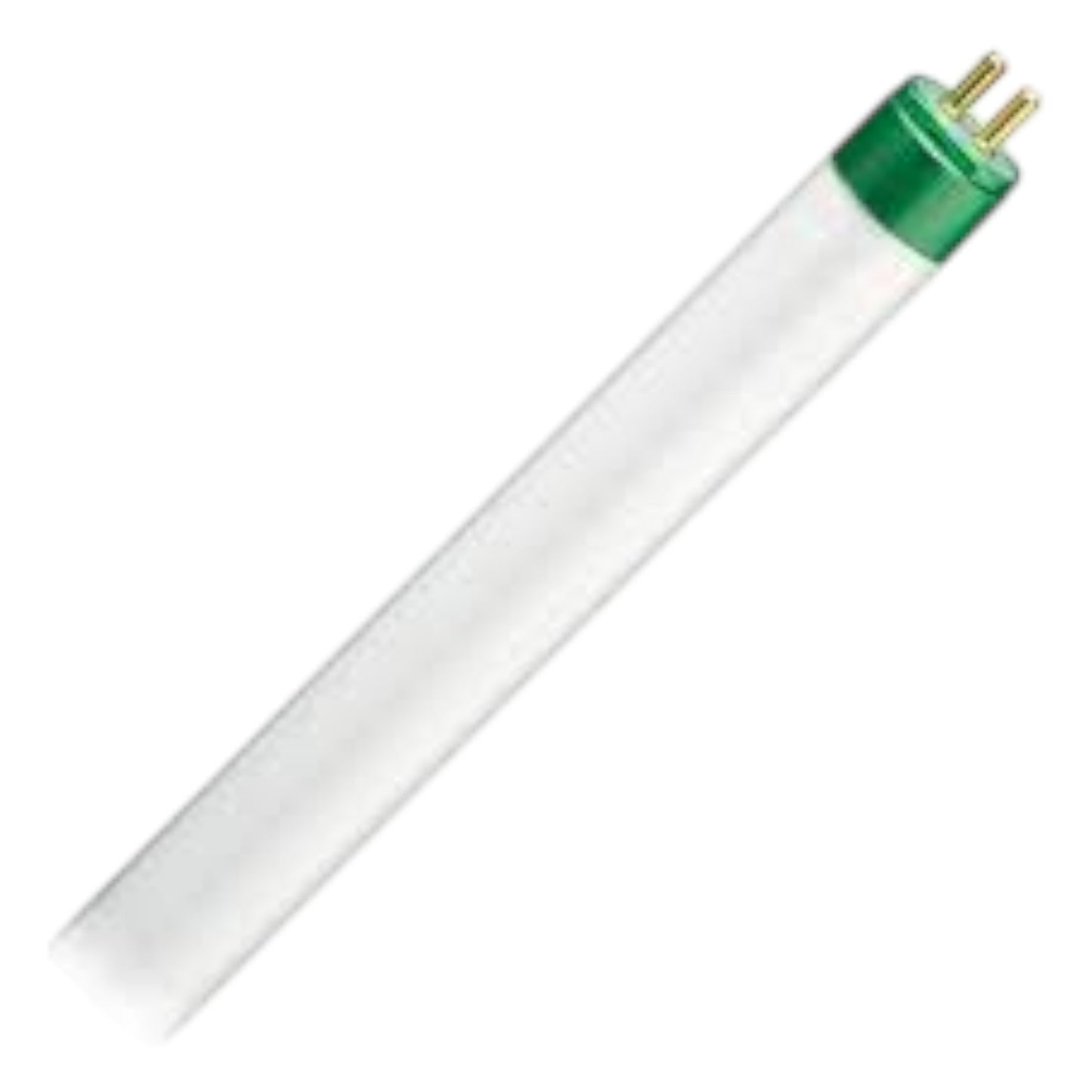 Fluorescent light bulb with green base on a white background