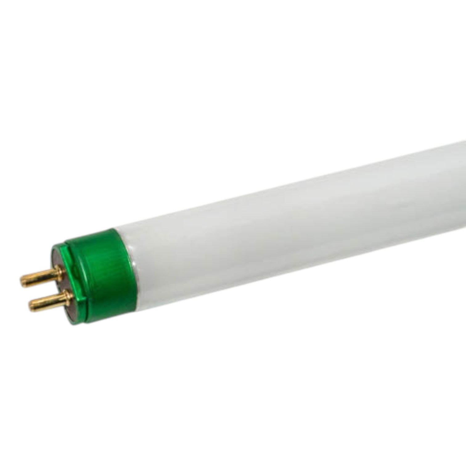 Light bulb with green base on a white background