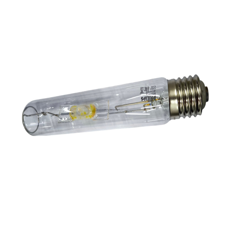 Clear light bulb with metal base on a white background