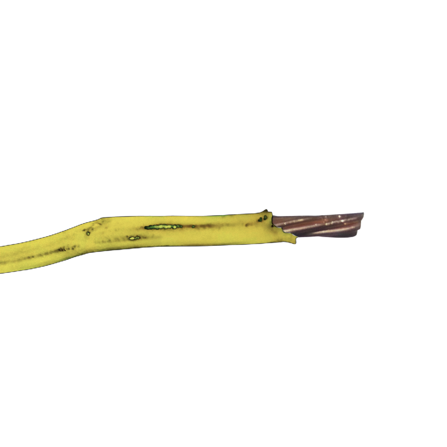 Philflex THHN Wire 8.0 mm Stranded 8/7 (Per Meter) Yellow