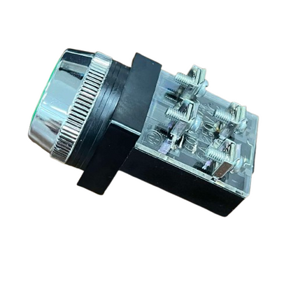 Push Button Switch Auspicious Green 30mm 3A 2NO/2NC