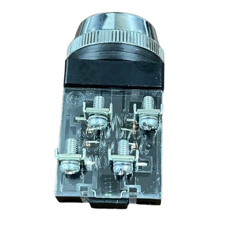 Push Button Switch Auspicious Green 30mm 3A 2NO/2NC