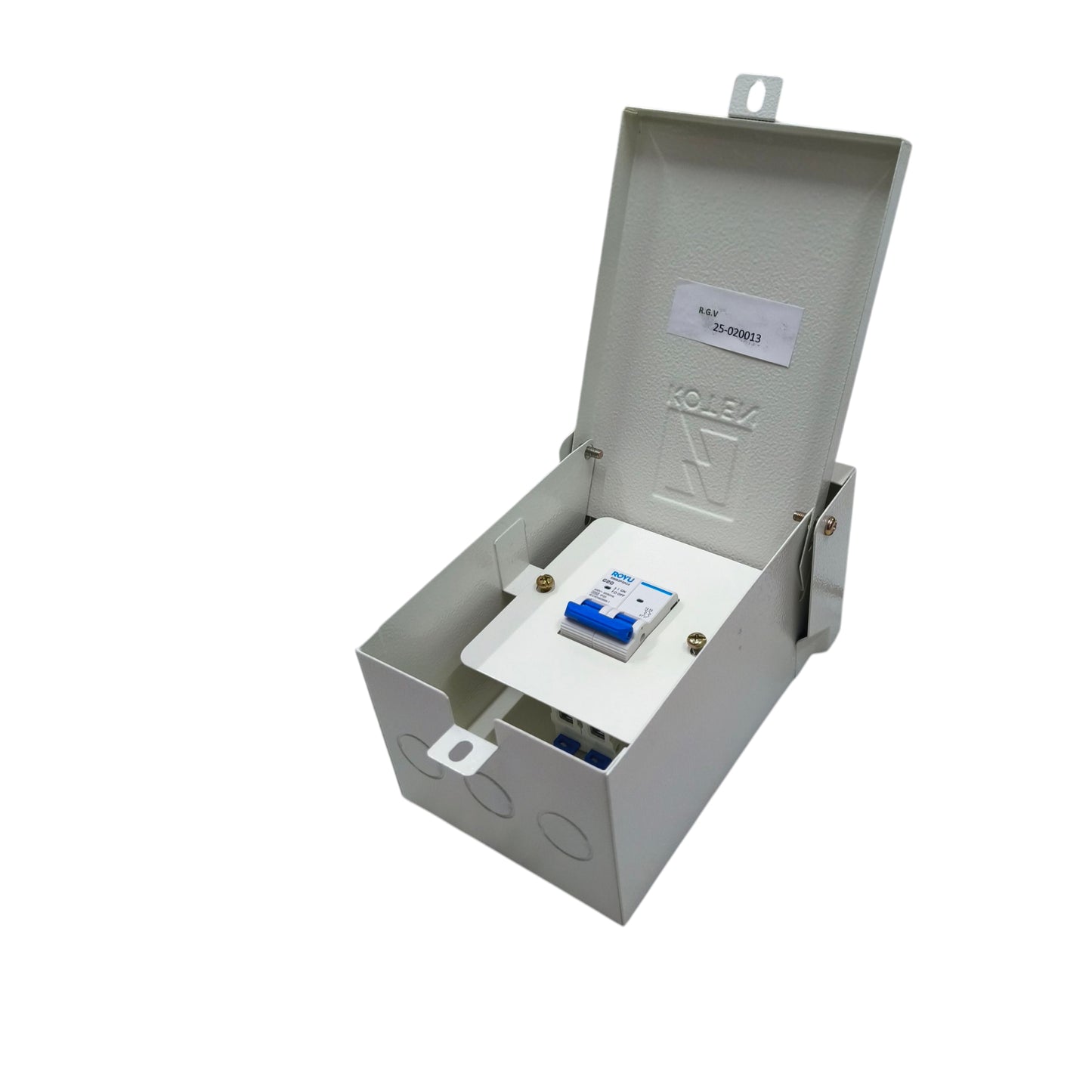 Royu 40A 2Pole 4.5KAIC 220V Miniature Circuit Breaker with Nema 3r Enclosure Outdoor RMB2P40C4