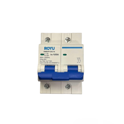 Royu miniature circuit breaker 220V double pole electrical safety switch with blue toggles