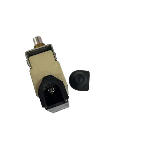 Sassin Limit Switch 10A 250V AZ7310