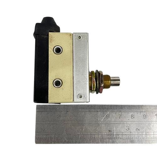 Sassin Limit Switch 10A 250V AZ7310