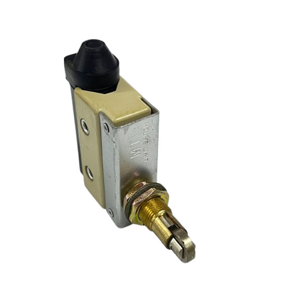 Sassin Limit Switch 10A 250V AZ7311