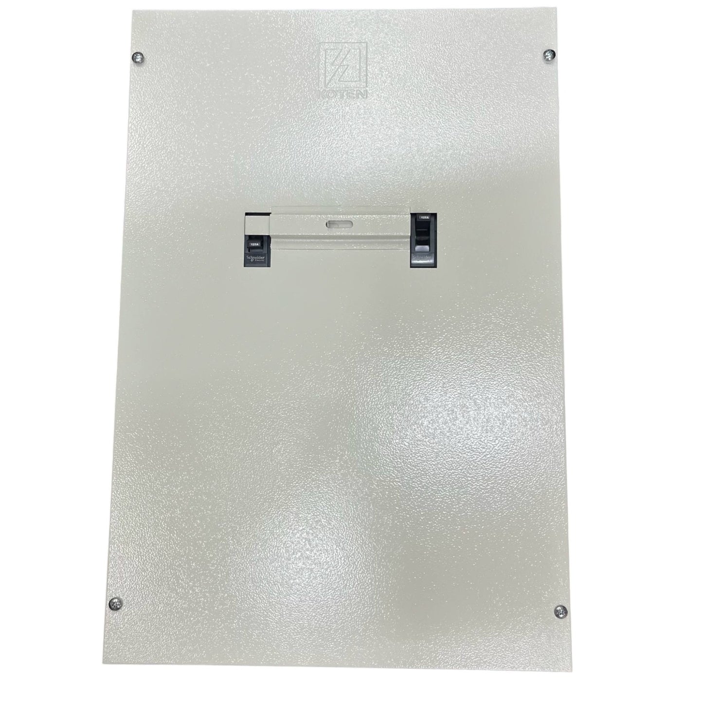 Schneider 225A MTS 2Pole with Nema 1 Enclosure 36KAIC 220V EZC250H2225