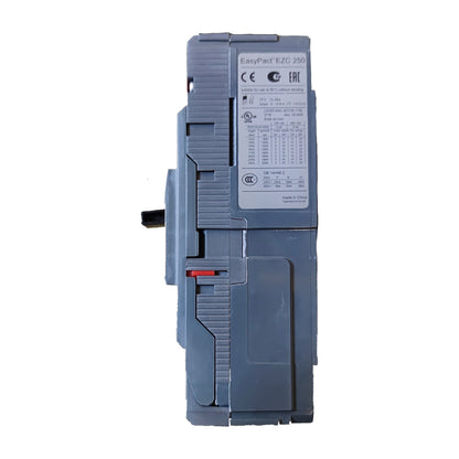Schneider 125A 2 Pole Single Phase MCCB Industrial Circuit Breaker 36KAIC 220V Easy Pact EZC250H2125