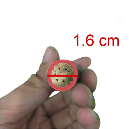 Hand holding a cable cross-section with a red circle and measurement '1.6 cm' on a white background