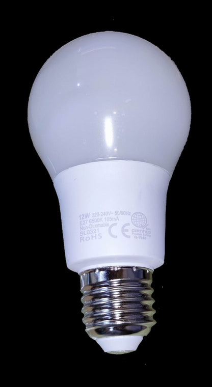 Omni 12W LED Bulb E27 220V A65  Daylight