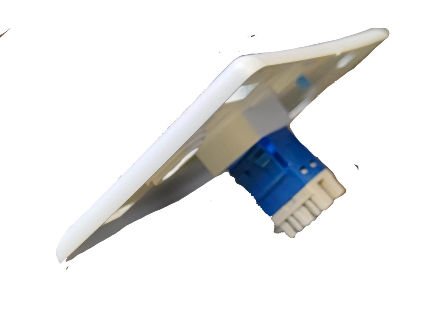 AMP cat 6 lan outlet with plate in white featuring blue connector for network wiring