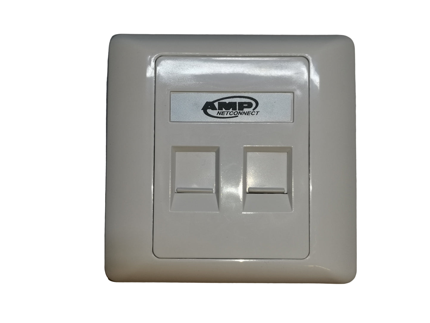 Electx Electrical Supply industrial 2 port wall plate in white with dual network ports