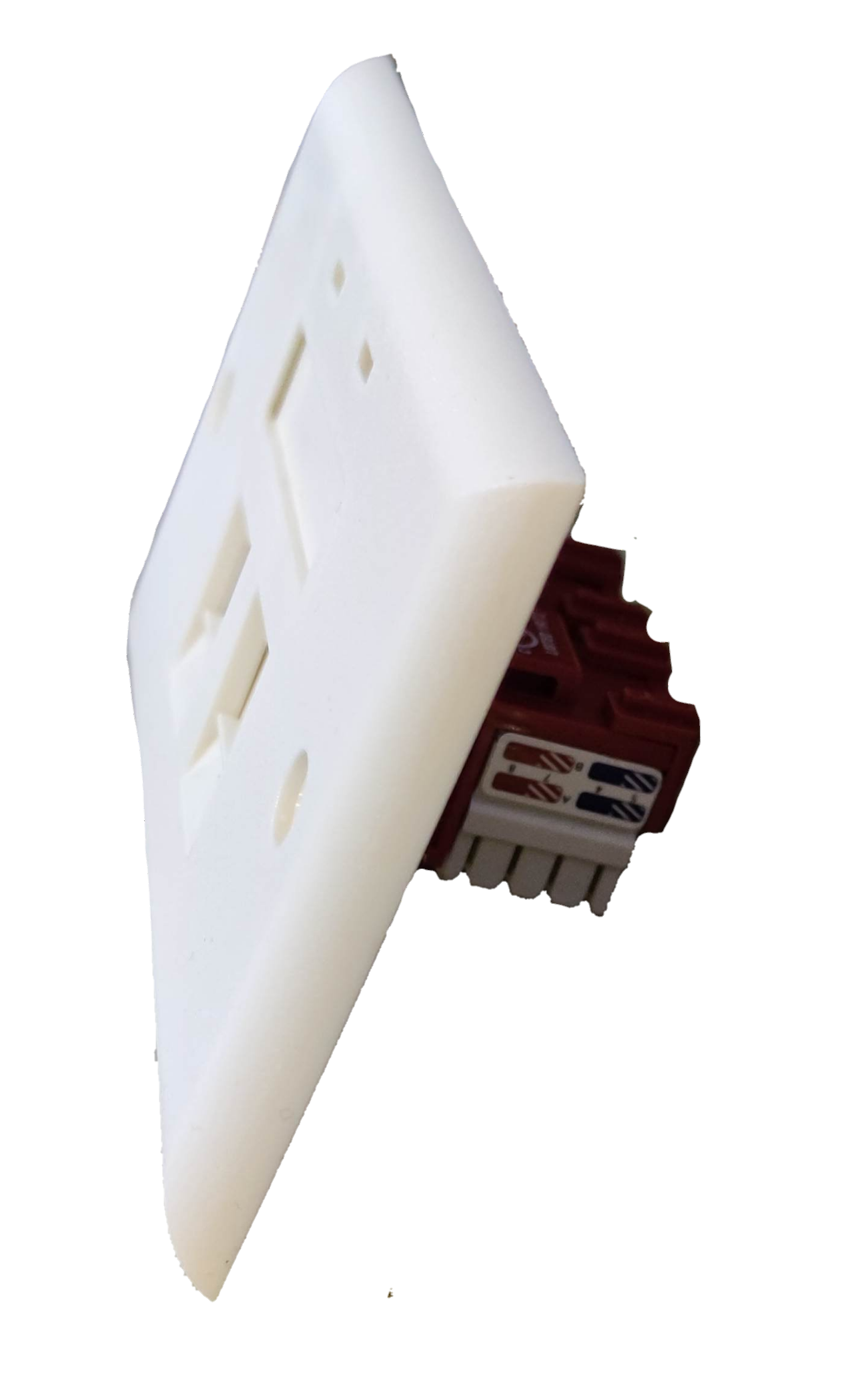 Belkin 2 gang Cat 6 LAN outlet with white faceplate and network cable connectors