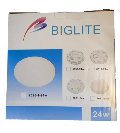 24W LED ceiling light 220V round white panel light by Biglite from China in multiple design options