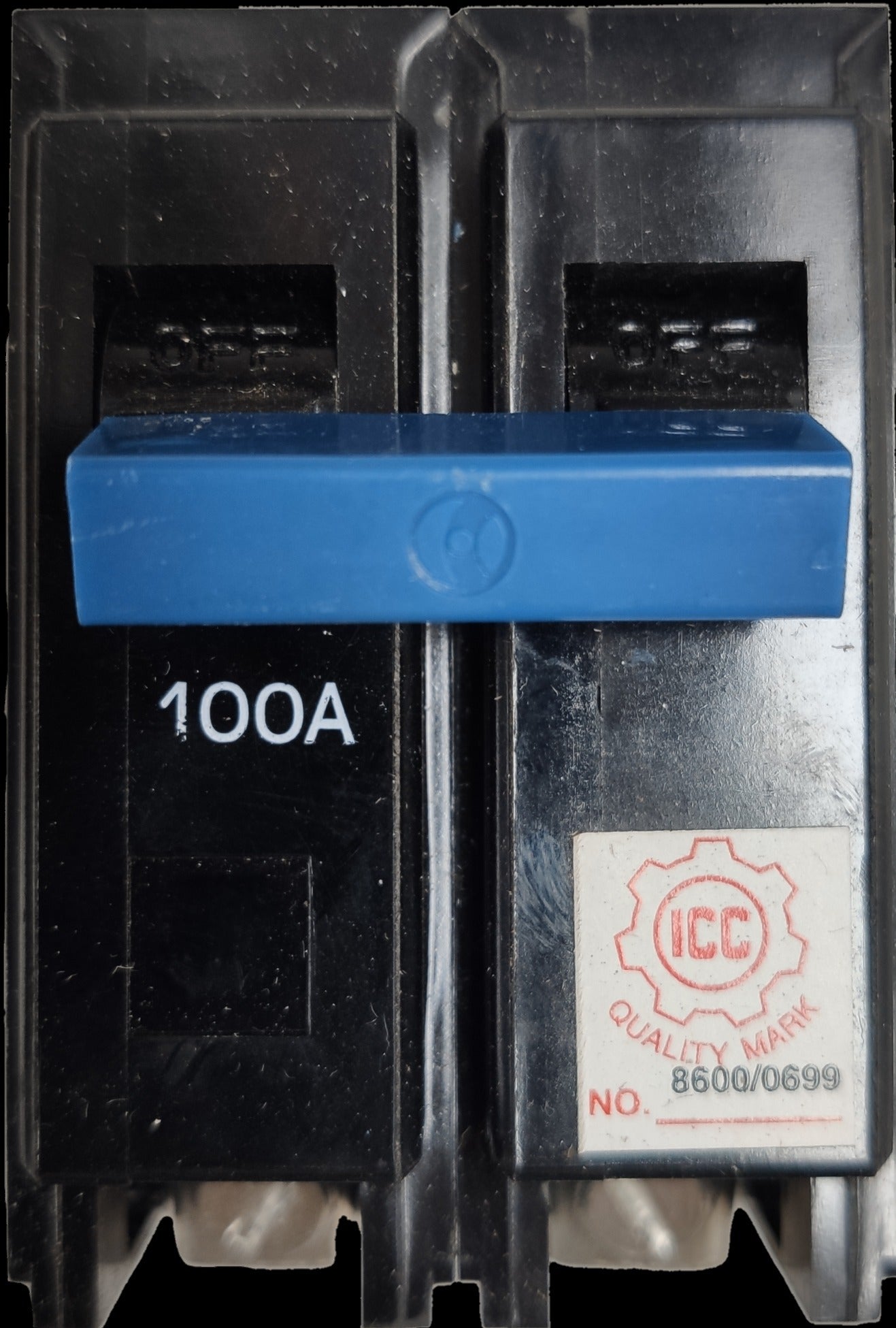 Taiyou 100A 2 Pole 220V Circuit Breaker Plug-in with blue switch and quality mark label