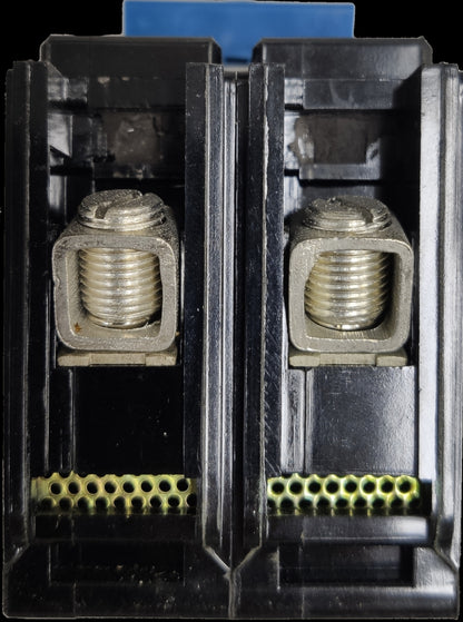 Taiyou 100A 2 Pole 220V Circuit Breaker Plug-in with metal screws and black plastic casing