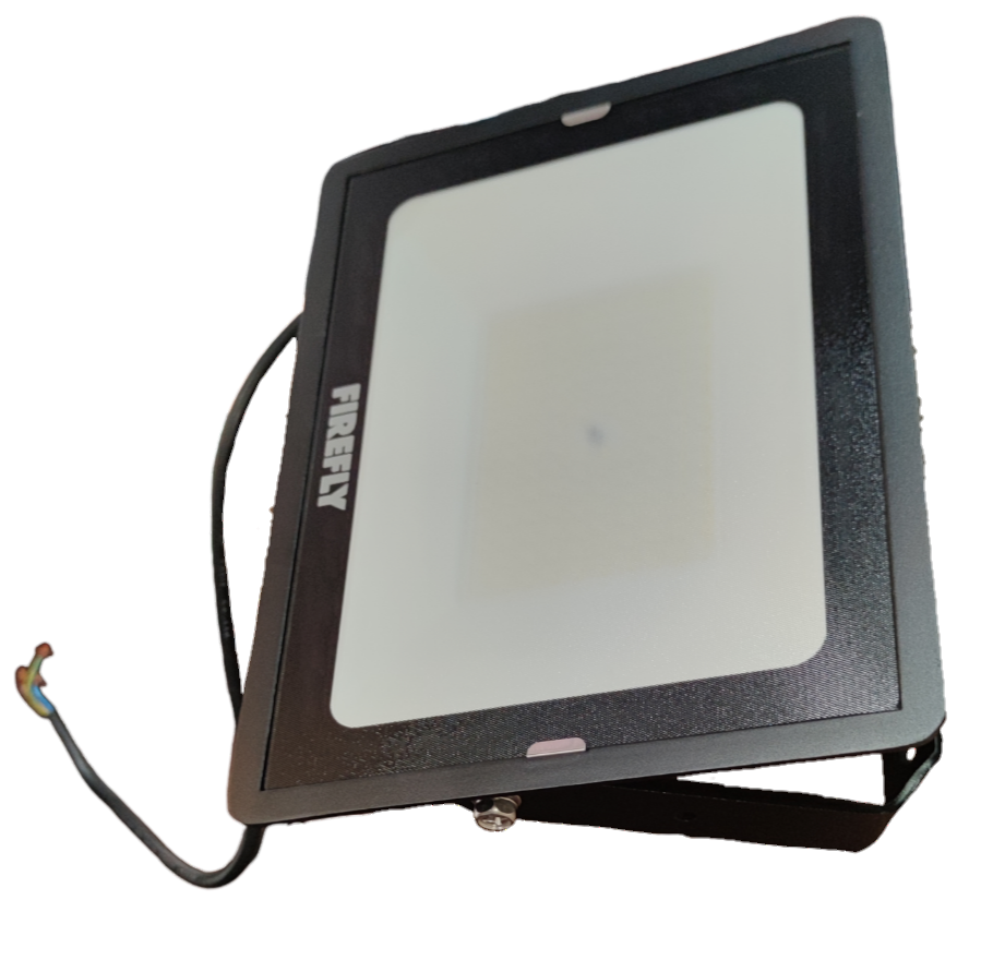 Firefly 100W LED Flood Light Daylight 220V Terra EFL88100DL
