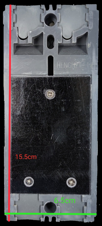 Chint 100A Industrial Circuit Breaker 2 Pole electrical component with black and gray housing