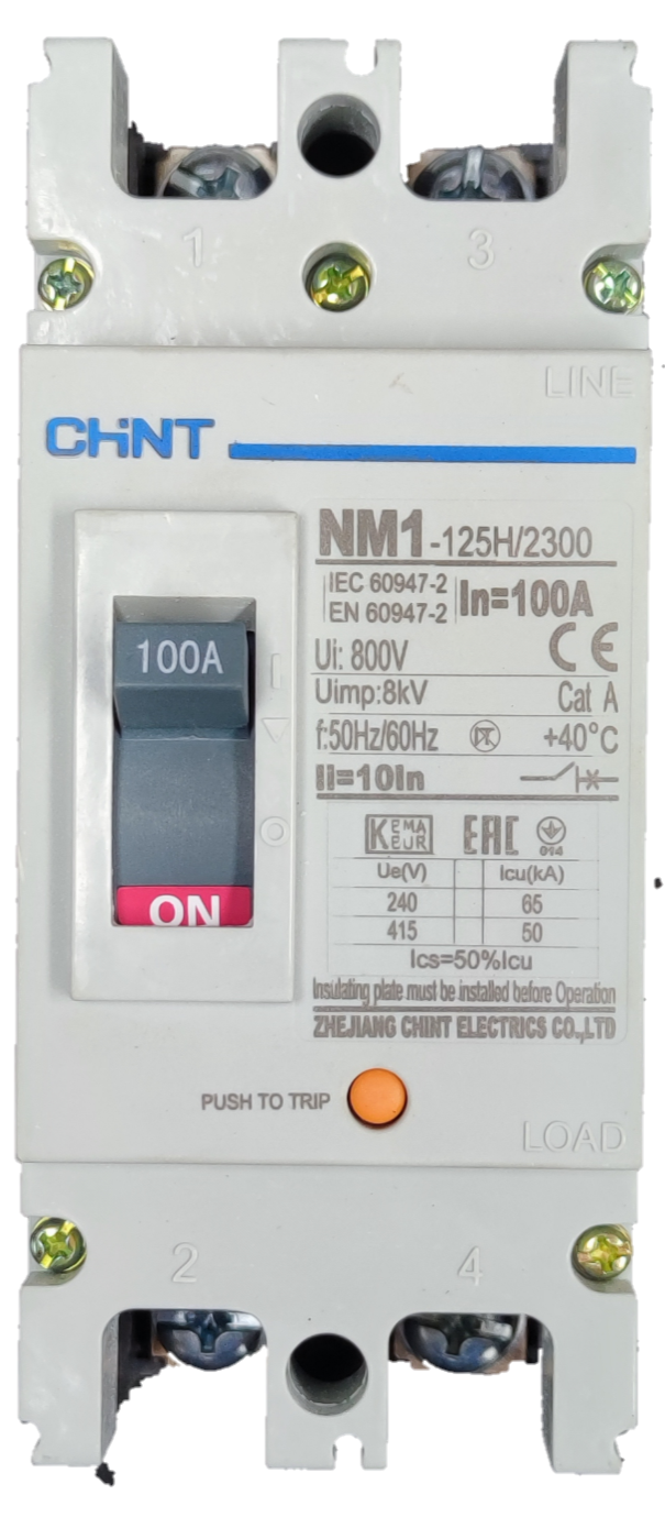 Chint 100A Industrial Circuit Breaker 2 Pole with on off switch and technical specifications label