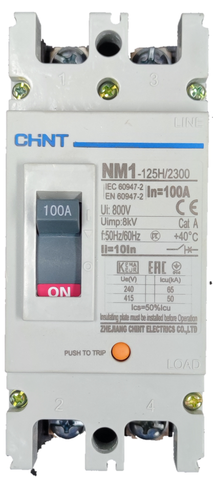 Chint 100A Industrial Circuit Breaker 2 Pole with on off switch and technical specifications label