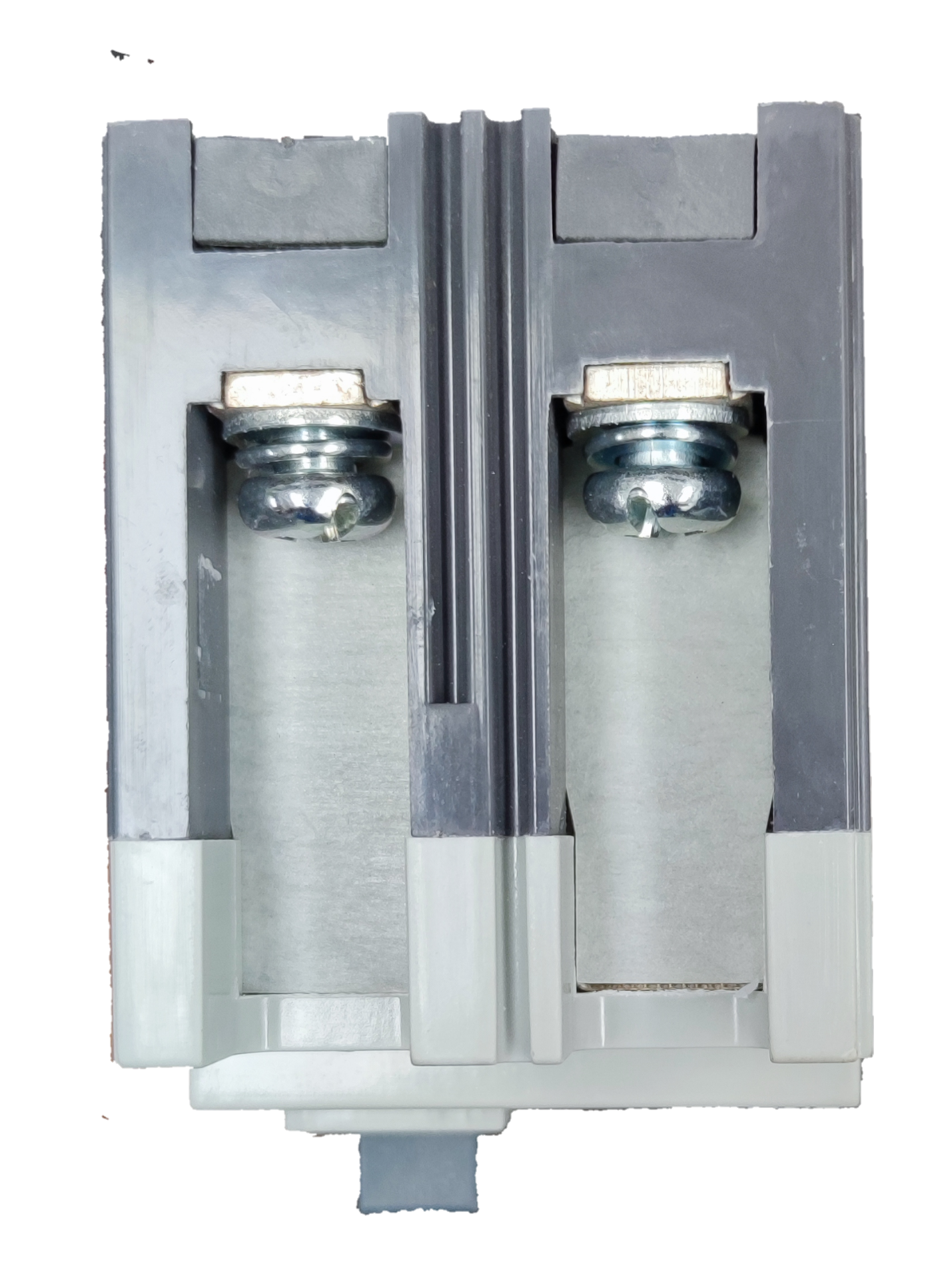 Chint 100A Industrial Circuit Breaker 2 Pole with metallic connectors and gray housing