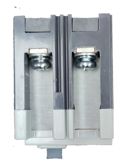 Chint 100A Industrial Circuit Breaker 2 Pole with metallic connectors and gray housing