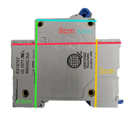 Chint 100A 2Pole Single Phase 10 KAIC 220V electrical circuit breaker with certification markings