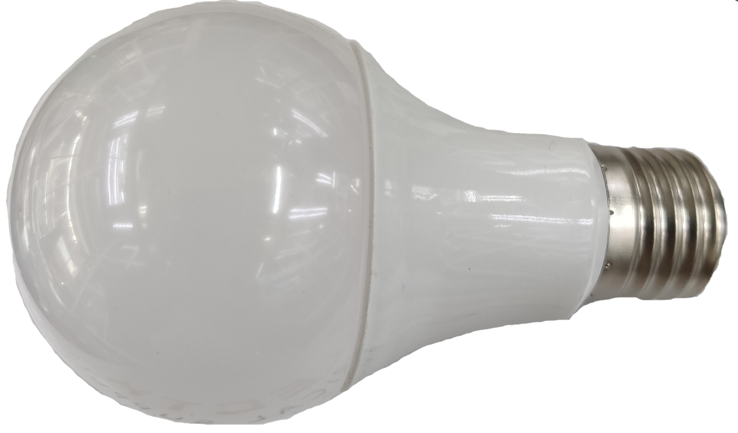 LED Bulb 12V DC 12W E27 Daylight (needs Battery to light up)