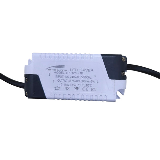 Biglite LED driver module white rectangular casing with wires LED Driver Input 100-240V Output 45-65VDC