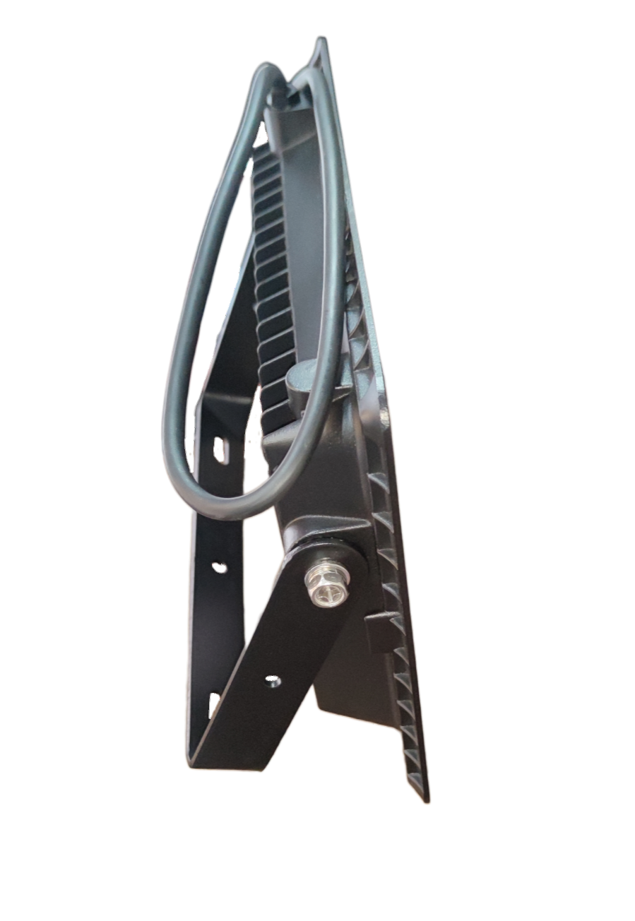 Firefly 100W LED Flood Light Daylight 220V Terra EFL88100DL