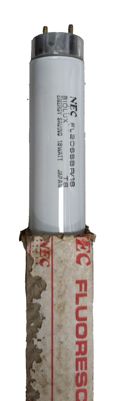 Nec 20W T-8 Aquarium Fluorescent Tube, 18W T8 Aquarium Fluorescent Tube Biolux Japan