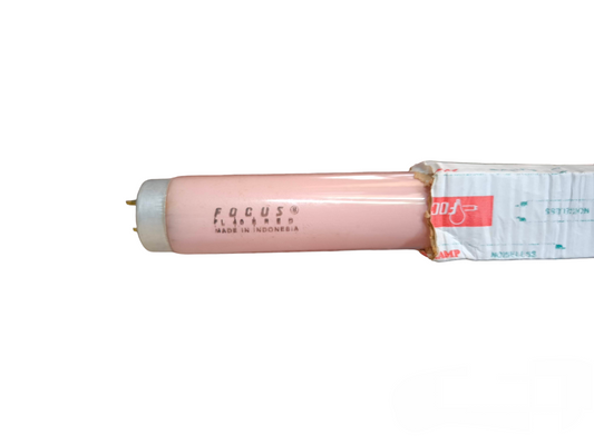 Focus 40W T-10 Fluorescent Tube Red