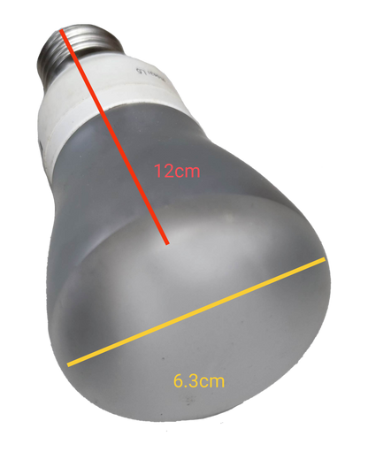 Firefly 11W Reflectorize CFL E27 Daylight compact fluorescent bulb with frosted glass and standard screw base