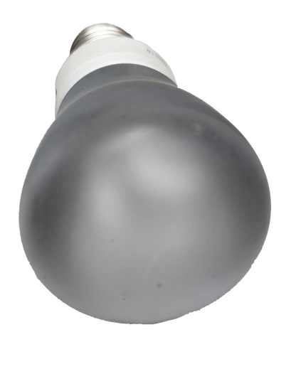 Firefly 11W Reflectorize CFL E27 Daylight compact fluorescent bulb with frosted glass