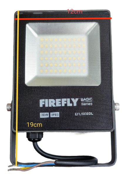 Firefly 30W LED Floodlight 220V Daylight with durable design and bright illumination for outdoor use