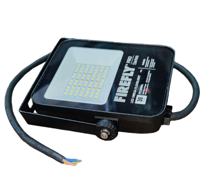 Firefly 30W LED floodlight with durable design for outdoor lighting needs