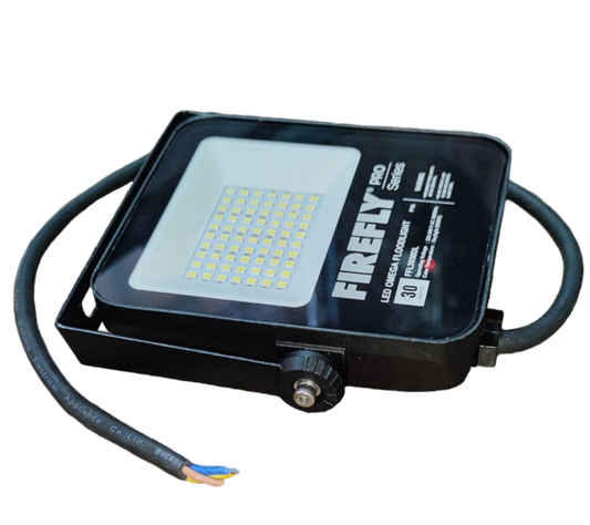 Firefly 30W LED floodlight with durable design for outdoor lighting needs