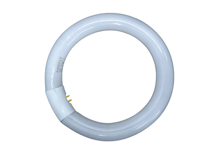 Firefly compact fluorescent circular bulb top view Circular Lamp 22W  6500K Daylight cool white ring tube