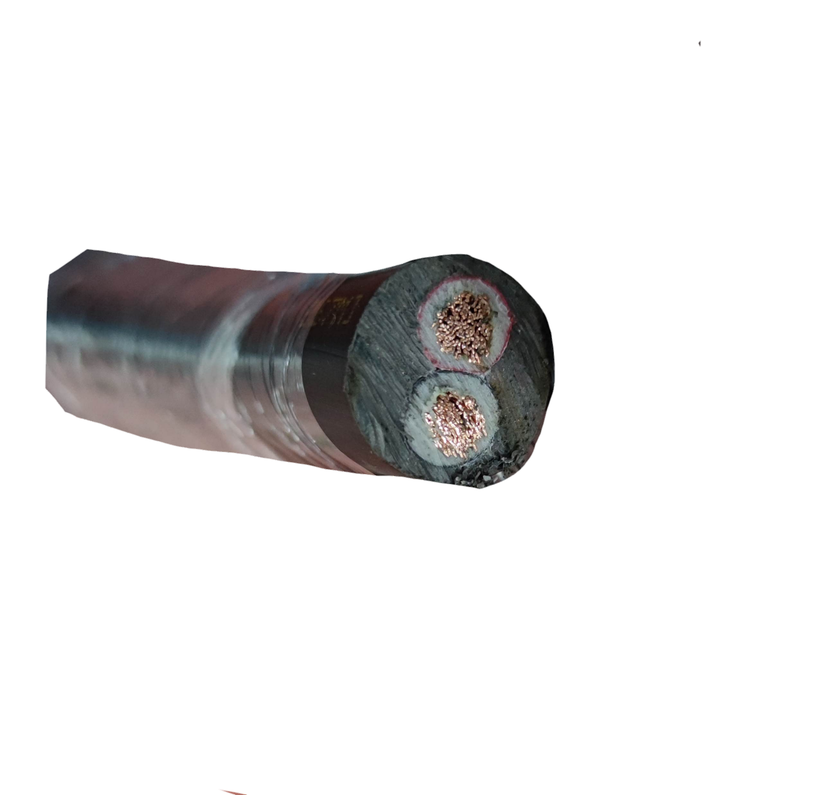 Phelps Dodge 14mm 2 core electrical wire roll showing copper strands and insulation cross section