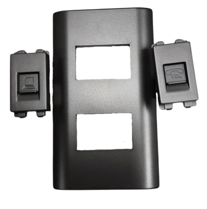 Royu 2 Gang Telephone and LAN Outlet modular plate with separate LAN and telephone connectors