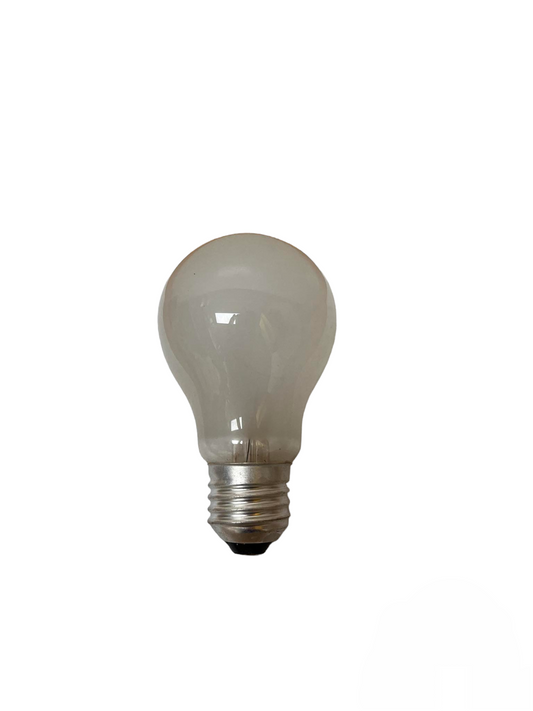 China incandescent bulb with screw base frosted glass incubator egg bulb replacement for poultry incubators