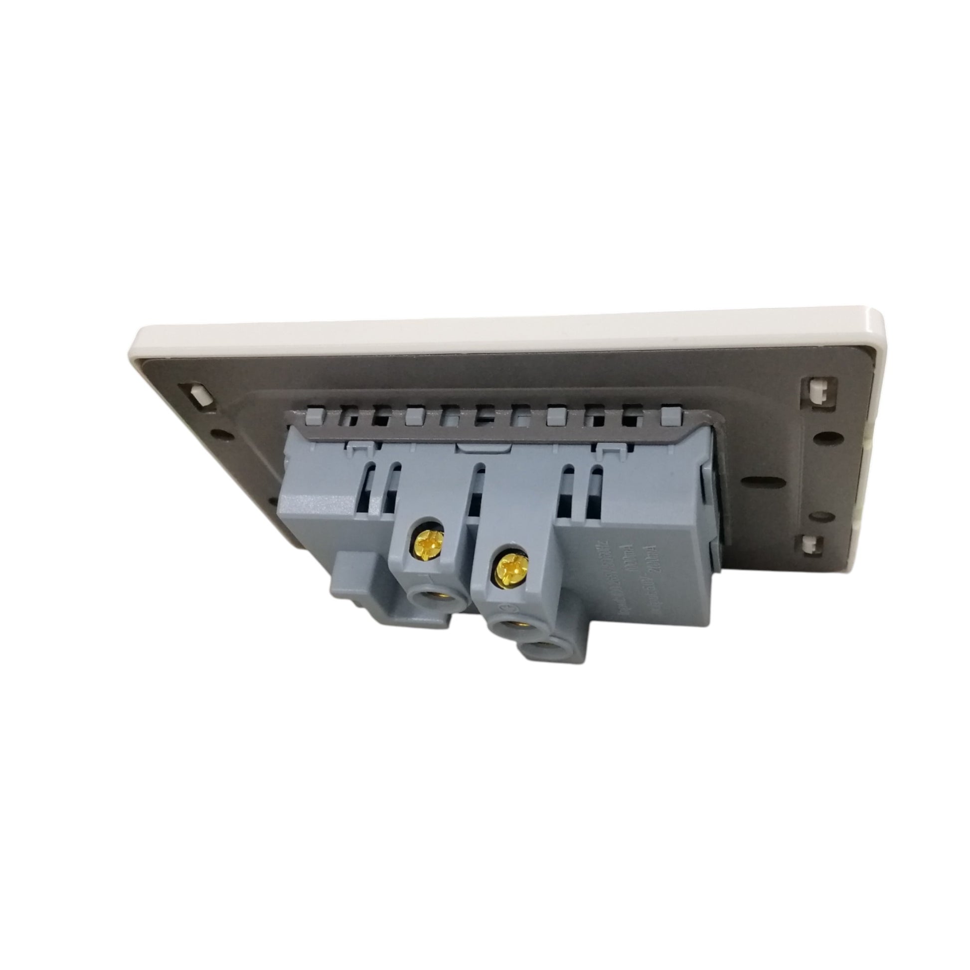 Grazen 2 gang outlet with USB-C and USB-A showing back view of power points and mounting plate
