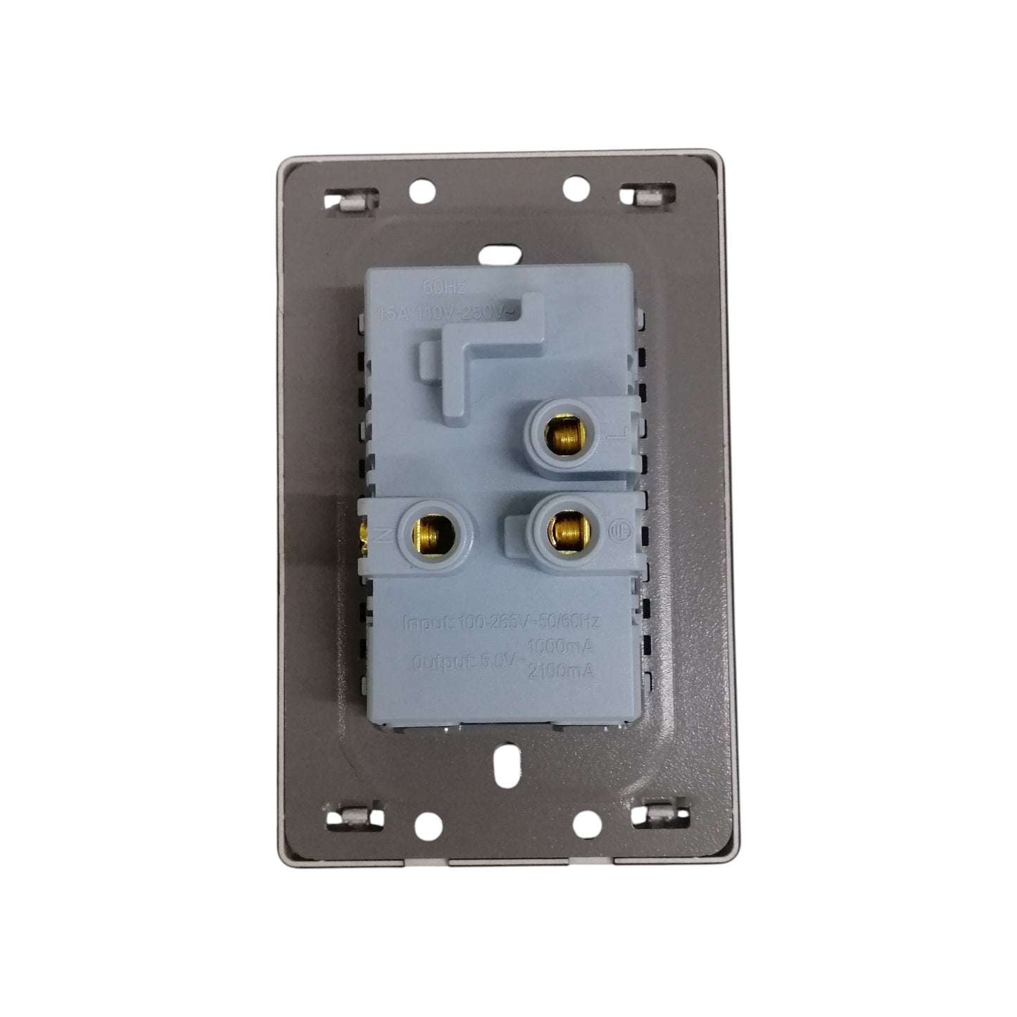 Grazen 2 gang outlet with USB-C and USB-A showing the back wiring terminals and mounting plate
