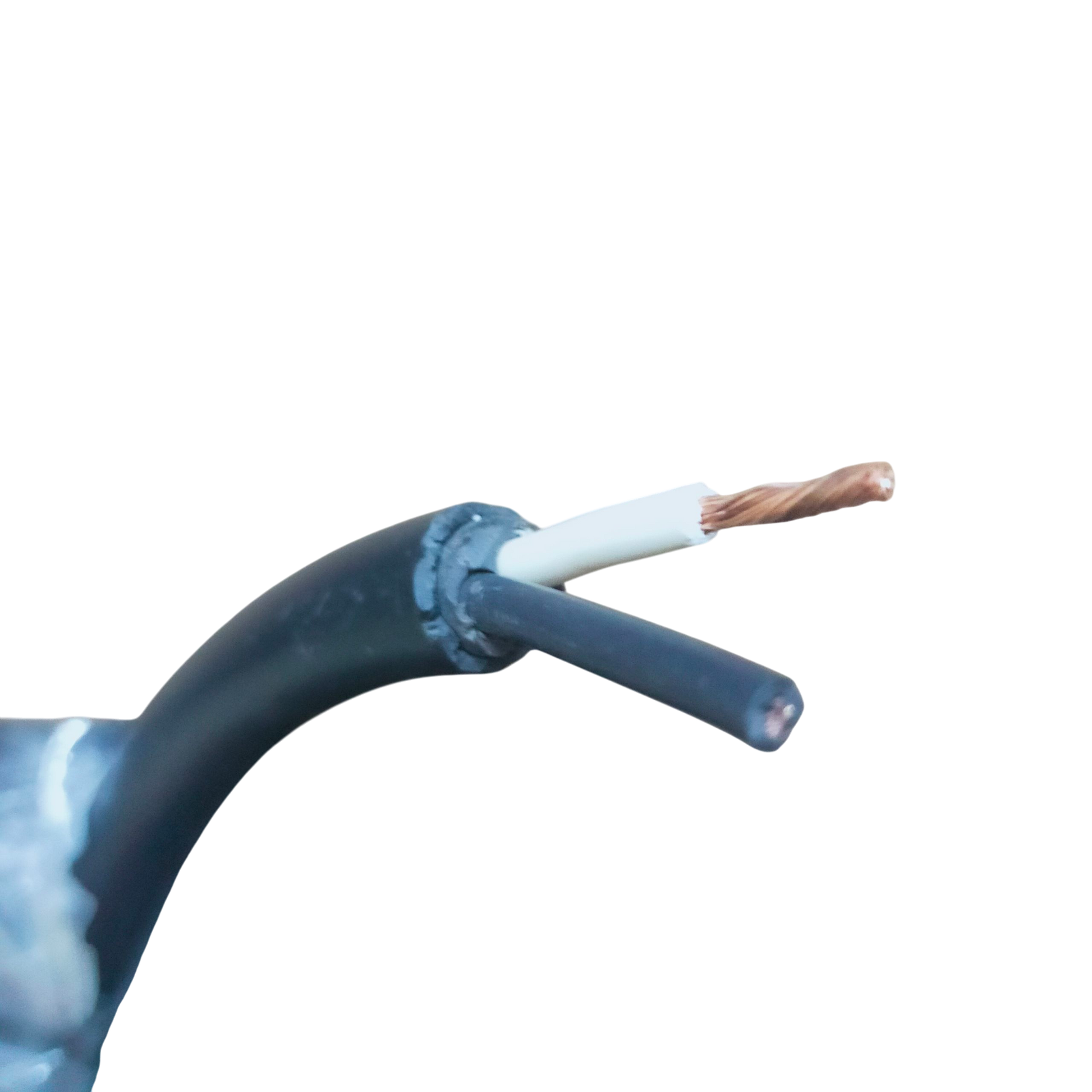 Boston Royal Cord AWG 14 - 2 Core black cable close up showing stranded copper conductor and dual insulated cores