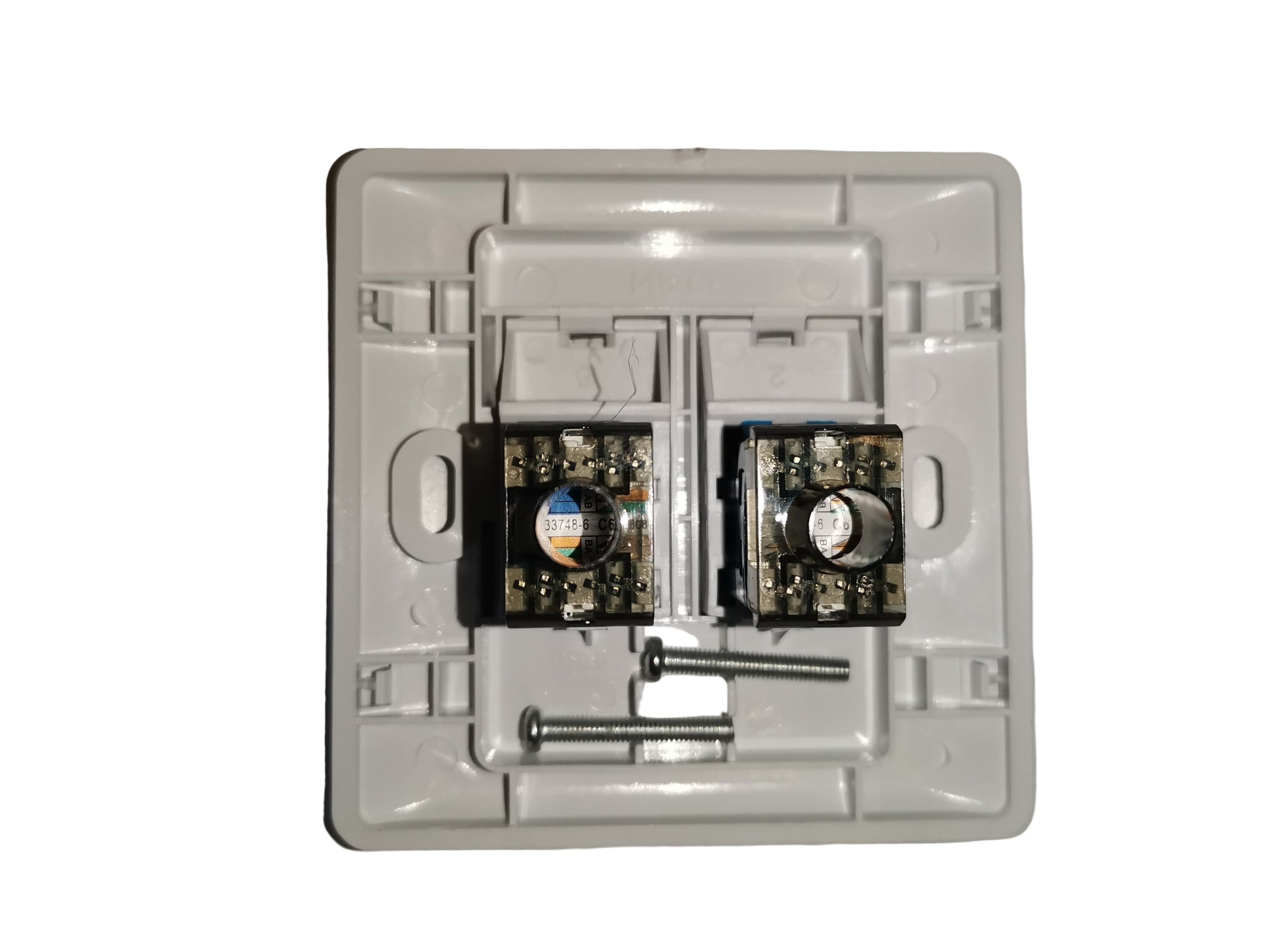 Electx Electrical Supply CAT6 2 gang LAN outlet white wall plate with two exposed keystone modules and screws